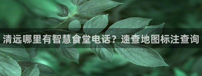凯时平台app