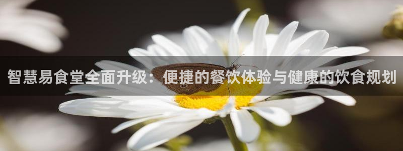凯时app赢AG发财网来就送38