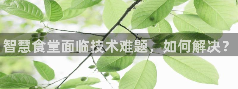尊龙人生就是博客服