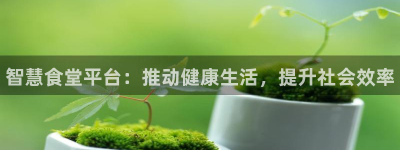凯时国际最新