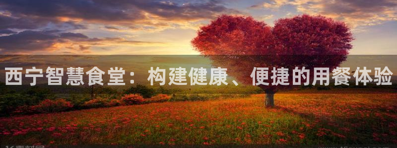 尊龙官方app下载
