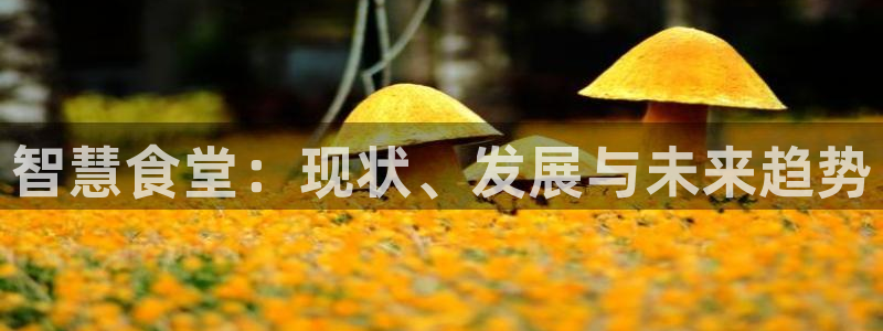 国际凯时ag优质运营商