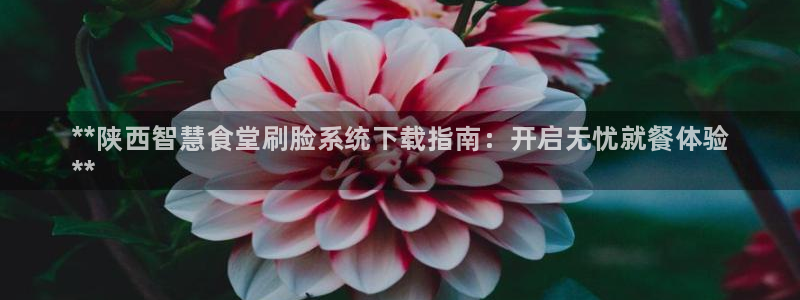 尊龙凯时网站怎么样：**陕西智慧食堂刷脸系统下载指南：开启无
