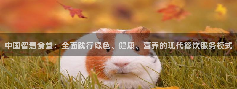 凯时APP官网首页