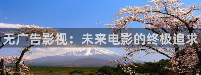 yy6029高清影院殇情影院：无广告影视：未来电影的终极追求