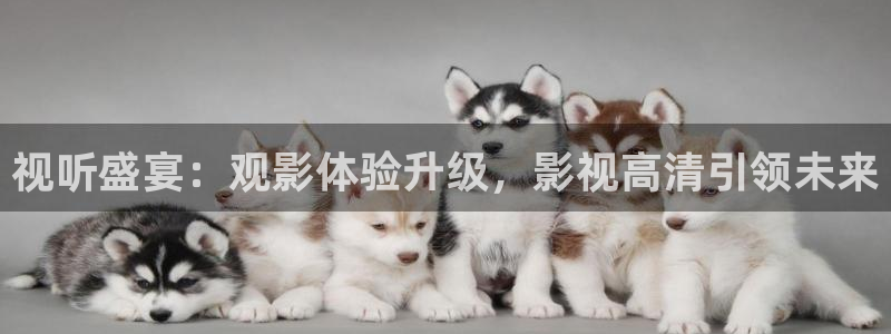 殇情影院yy6080：视听盛宴：观影体验升级，影视高清引领未来