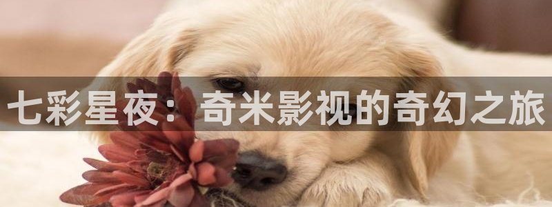 青苹果影院殇情影院：七彩星夜：奇米影视的奇幻之旅