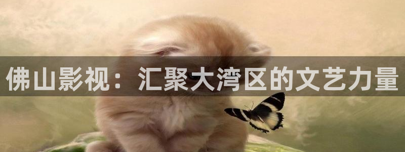 yy6029高清影院殇情影院：佛山影视：汇聚大湾区的文艺力量